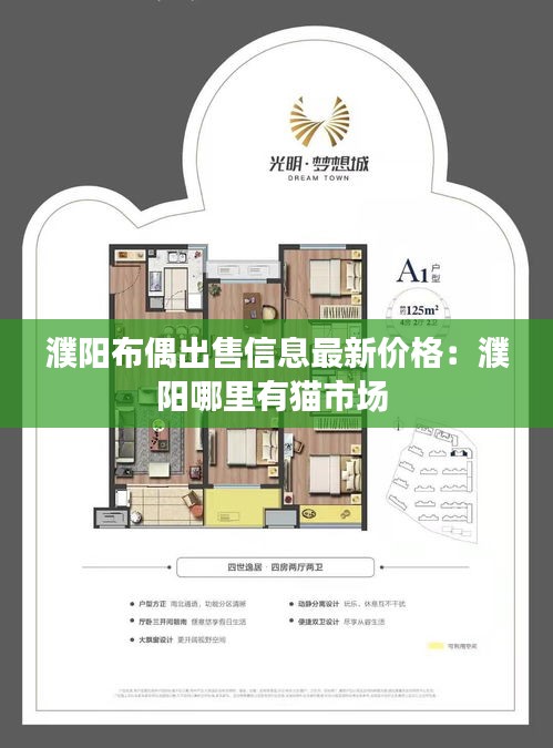濮阳布偶出售信息最新价格：濮阳哪里有猫市场 