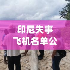 印尼失事飞机名单公布最新：印尼失联飞机坠毁 