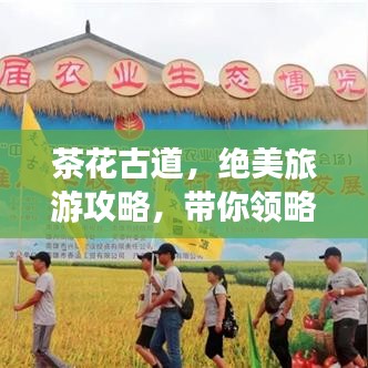 观往知来 第2页