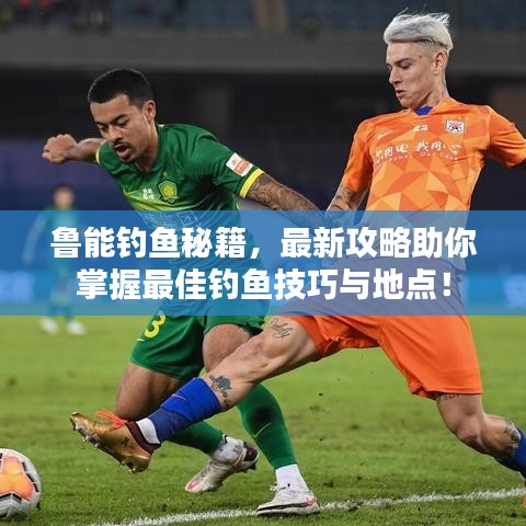 鲁能钓鱼秘籍，最新攻略助你掌握最佳钓鱼技巧与地点！
