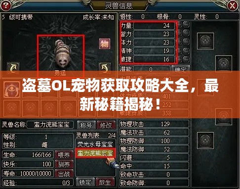 盗墓OL宠物获取攻略大全，最新秘籍揭秘！