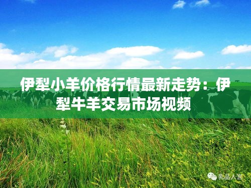 伊犁小羊价格行情最新走势：伊犁牛羊交易市场视频 