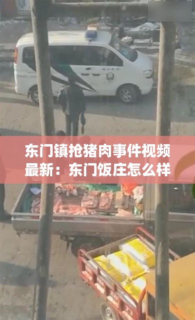东门镇抢猪肉事件视频最新：东门饭庄怎么样 