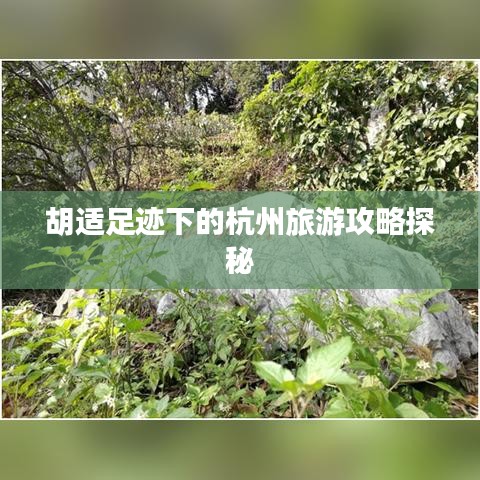 胡适足迹下的杭州旅游攻略探秘