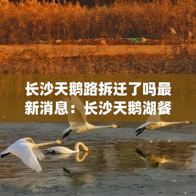 远山芙蓉 第2页