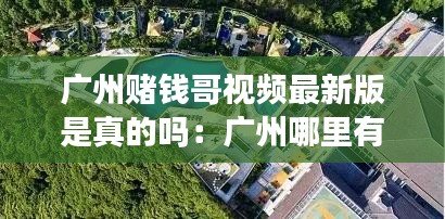 广州赌钱哥视频最新版是真的吗：广州哪里有赌钱的地方 