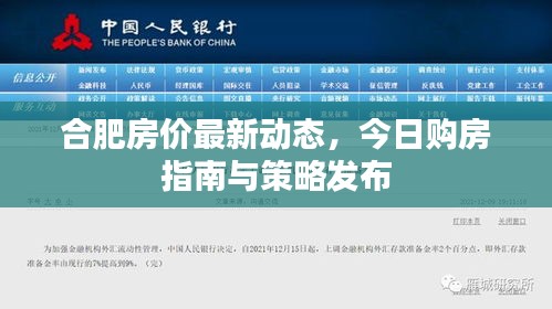 合肥房价最新动态，今日购房指南与策略发布