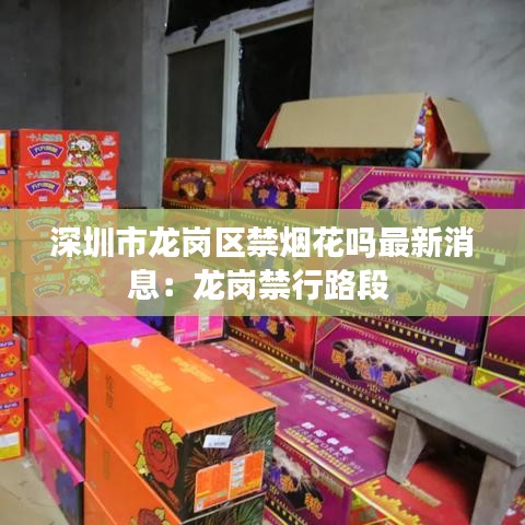深圳市龙岗区禁烟花吗最新消息：龙岗禁行路段 