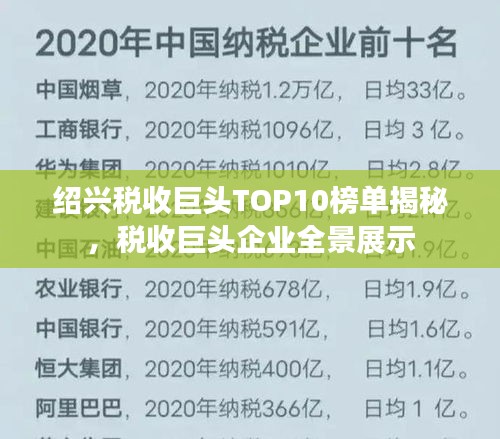 绍兴税收巨头TOP10榜单揭秘，税收巨头企业全景展示