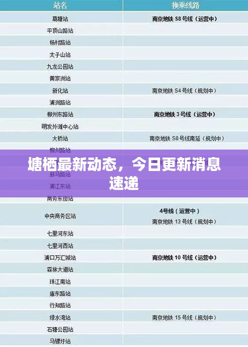 塘栖最新动态，今日更新消息速递