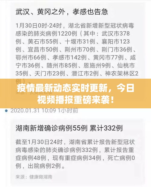 疫情最新动态实时更新，今日视频播报重磅来袭！