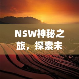 NSW神秘之旅，探索未知的绝美风光攻略
