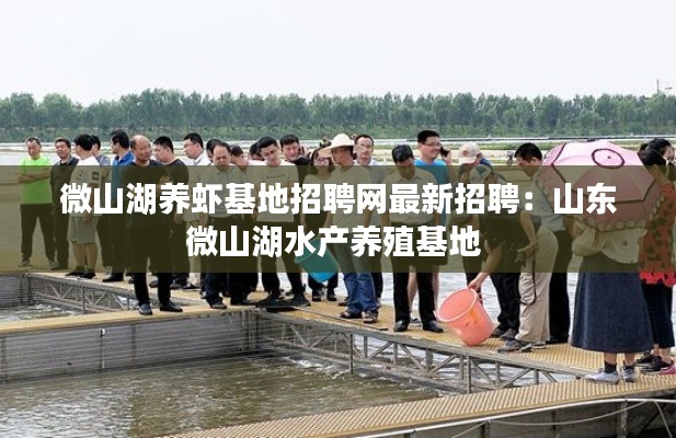 微山湖养虾基地招聘网最新招聘：山东微山湖水产养殖基地 