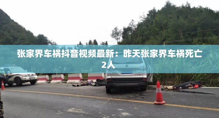 张家界车祸抖音视频最新：昨天张家界车祸死亡2人 