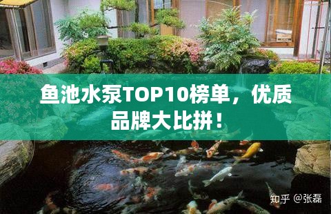 鱼池水泵TOP10榜单，优质品牌大比拼！