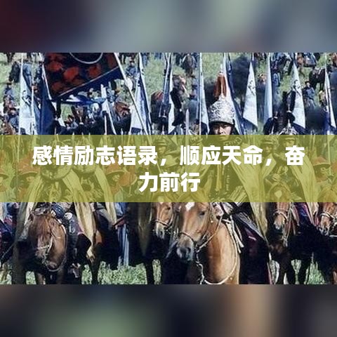 感情励志语录，顺应天命，奋力前行