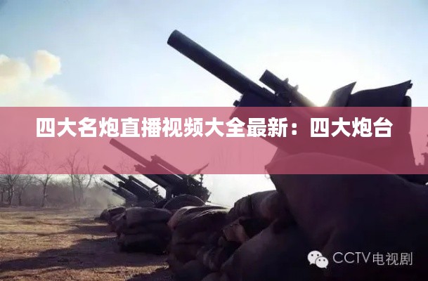 四大名炮直播视频大全最新：四大炮台 