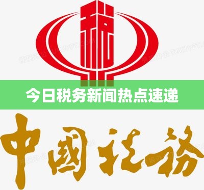 今日税务新闻热点速递