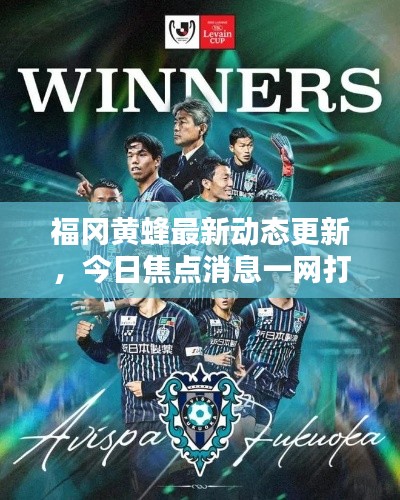 福冈黄蜂最新动态更新，今日焦点消息一网打尽！