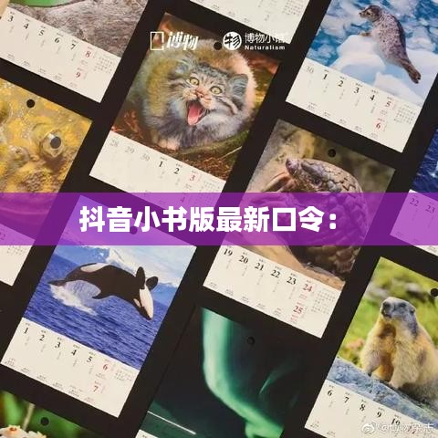 抖音小书版最新口令： 