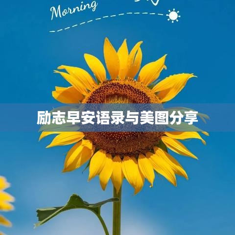 竭尽全力 第2页