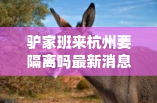 驴家班来杭州要隔离吗最新消息：驴家班爽儿最新消息 