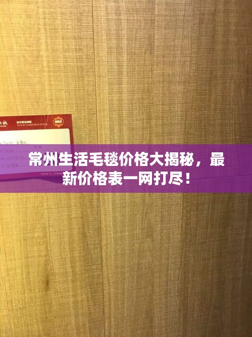 常州生活毛毯价格大揭秘，最新价格表一网打尽！