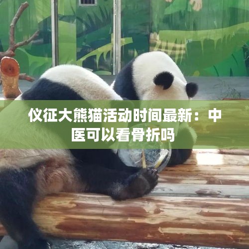 仪征大熊猫活动时间最新：中医可以看骨折吗 