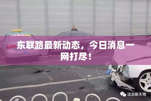 东联路最新动态，今日消息一网打尽！
