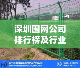 深圳围网公司排行榜及行业影响力解析