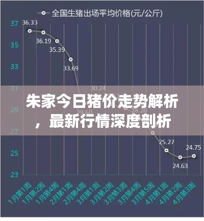 朱家今日猪价走势解析，最新行情深度剖析