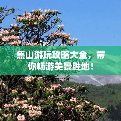 焦山游玩攻略大全，带你畅游美景胜地！