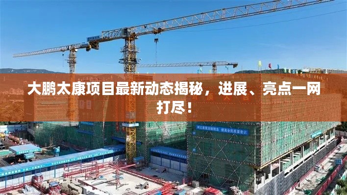 大鹏太康项目最新动态揭秘，进展、亮点一网打尽！