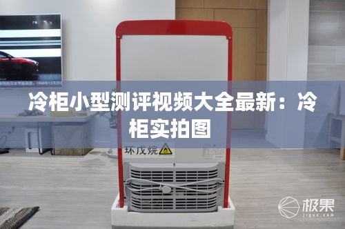 冷柜小型测评视频大全最新：冷柜实拍图 