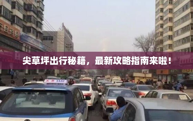 尖草坪出行秘籍，最新攻略指南来啦！