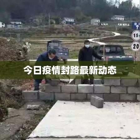 今日疫情封路最新动态