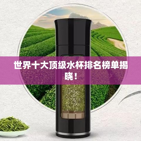 世界十大顶级水杯排名榜单揭晓！