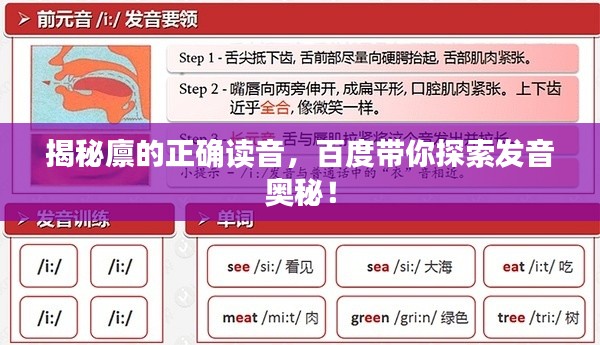 揭秘廪的正确读音，百度带你探索发音奥秘！