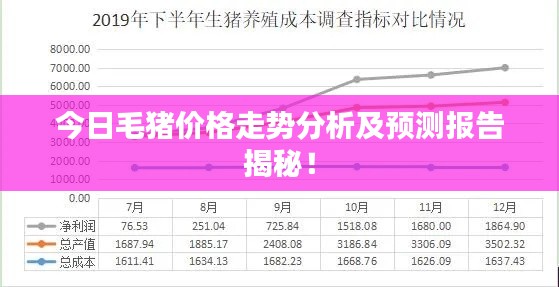 今日毛猪价格走势分析及预测报告揭秘！