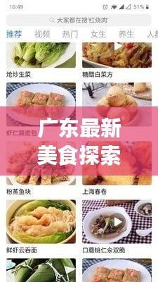 广东最新美食探索，今日必试菜谱推荐