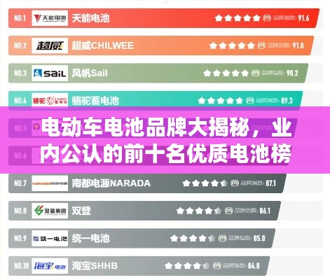 电动车电池品牌大揭秘，业内公认的前十名优质电池榜单！