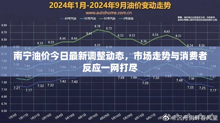 南宁油价今日最新调整动态，市场走势与消费者反应一网打尽