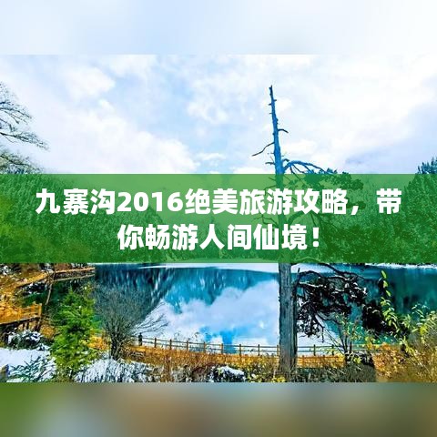 九寨沟2016绝美旅游攻略，带你畅游人间仙境！