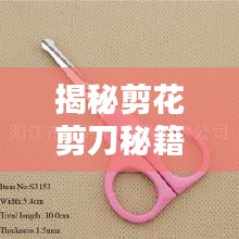 揭秘剪花剪刀秘籍，专业工具选择与实用指南