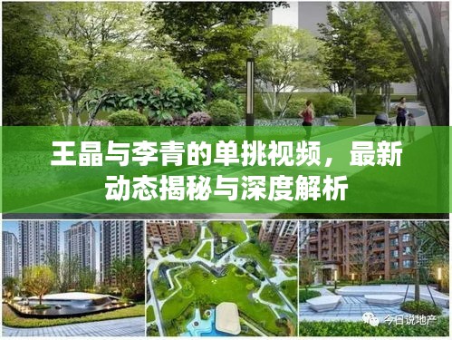 王晶与李青的单挑视频，最新动态揭秘与深度解析