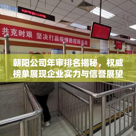 朝阳公司年审排名揭秘，权威榜单展现企业实力与信誉展望