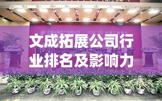 文成拓展公司行业排名及影响力解析