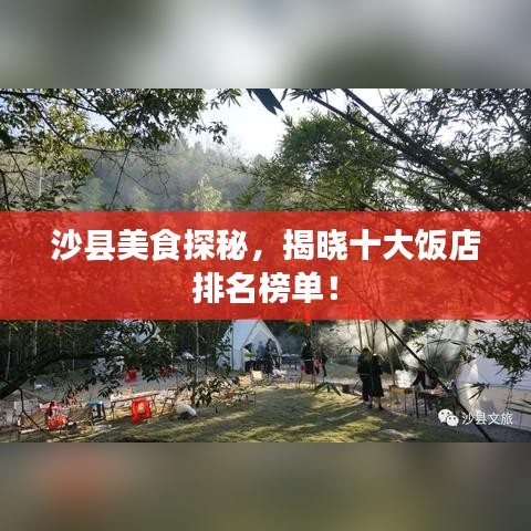 指李推张 第2页