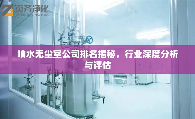 响水无尘室公司排名揭秘，行业深度分析与评估