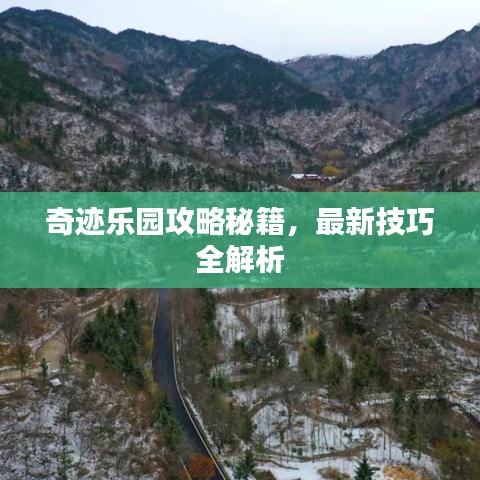 奇迹乐园攻略秘籍，最新技巧全解析